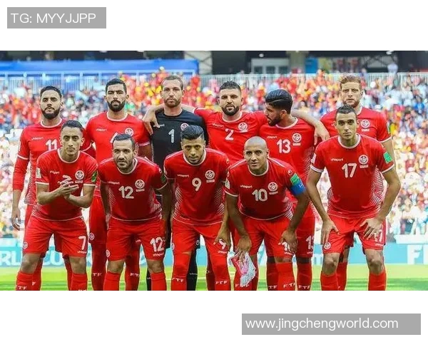 埃及与突尼斯足球对决直播全程回顾精彩瞬间分析